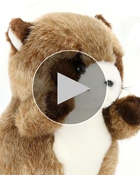 Amazon.co.jp: たけのこ 森のなかま ミニ タヌキ ぬいぐるみ 85211